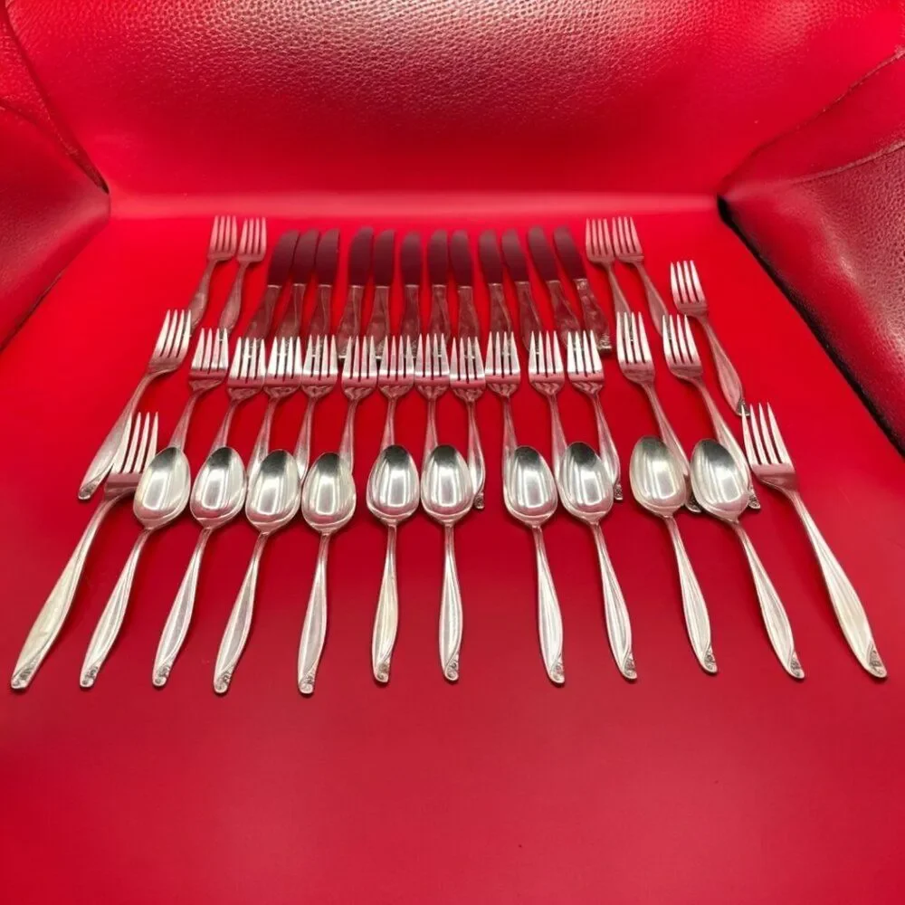 Vintage Wm A. Rogers Oneida Flowertime Silver Overlaid 43 Piece Flatware Set